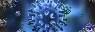 Учёные наглядно показали, сколько микробов скапливается на украшениях —  Ferra.ru