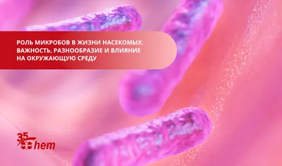 Биологи нашли тысячи неизвестных микробов в теле человека - Новости науки -  Пресс-центр - Портал РФФИ