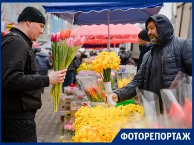 Композиция Мое солнышко» с тюльпанами и мимозами - купить в Сочи за 7 490  руб