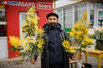 С праздником 8 марта! — Ветка мимозы на фоне весеннего леса — Почтовая  карточка АВИА 1982 года - Старая открытка - открытки СССР