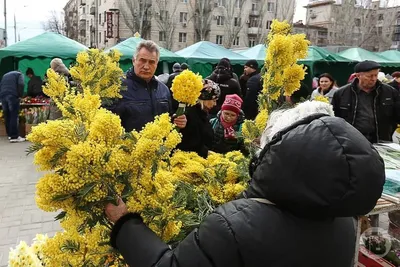 Открытка СССР 1982 г. С 8 Марта!. Цветы, мимозы, природа, веста. худ. Г.  Куртенко ДМПК Авиа чистая - купить на Coberu.ru (цена 45 руб.)