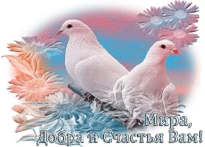 Рельефная карта мира | Пикабу