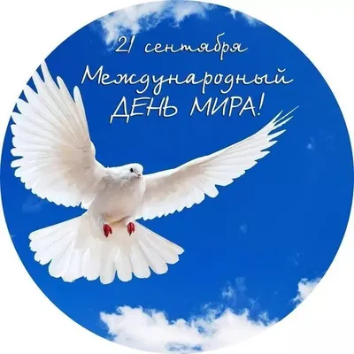 Карта Мира РУЗ Ко Политическая с флагами. Крым в составе РФ. Новые границы  РФ. купить по цене 1053 ₽ в интернет-магазине Детский мир