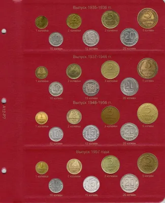Монеты СССР и России - 400+ грамм (набор начинающего нумизмата состоит из монет  России и СССР на вес) - купить в интернет-магазине OZON с быстрой доставкой  (258054838)