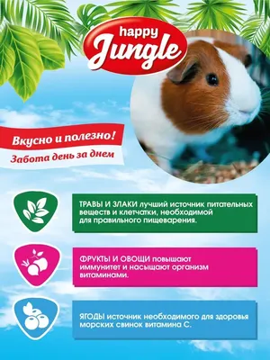 Купить Корм для грызунов HAPPY JUNGLE для морских свинок в Бетховен