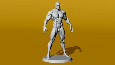 Зак Эфрон Мужская физическая форма Бодибилдинг Мускулистый мужчина,  бодибилдинг, футболка, физкультура, бодибилдер png | PNGWing