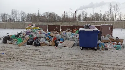 Особенности утилизации крупногабаритного мусора: почему его нельзя  выбрасывать в обычные контейнеры | TLT.ru - Новости Тольятти