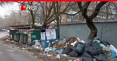 Как пожаловаться на регоператора за невывоз мусора (ПАМЯТКА) — Новости  Хабаровска