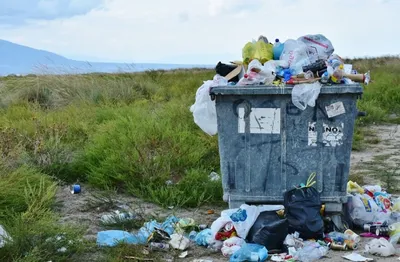 Сортировка мусора – не желание, а обязанность