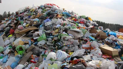 Ученые подсчитали общее количество пластикового мусора на планете