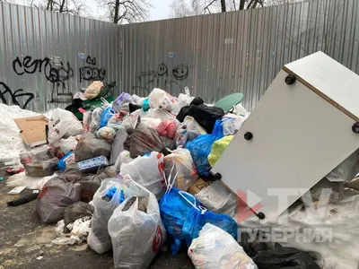 Внедрение раздельного сбора мусора в Ташкенте начнется с 24 махаллей –  Новости Узбекистана – Газета.uz
