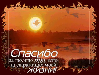 Спасибо за то, что ты есть на свете - ч. 2 (Ефимов Павел) / Стихи.ру