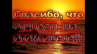 Картинки Спасибо тебе за то, что ты есть в моей жизни