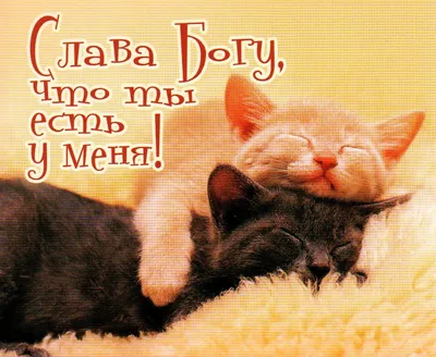 Ты есть у меня красивые картинки (57 лучших фото)