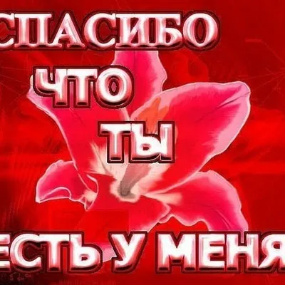 Авторские подарки Подарок мужчине, подарочный бокс, сувенир