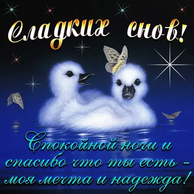 Картинки с надписью спасибо что вы есть у меня (48 фото) » Юмор, позитив и  много смешных картинок