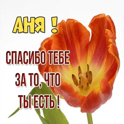 Вафельная картинка \"С Днем рождения!\" (для мужчин) 61 (ID#1240429878),  цена: 40 ₴, купить на Prom.ua