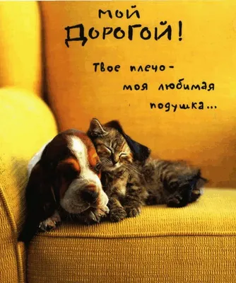 Картинки \"Спокойной ночи!\" для мужчины (173 шт.)