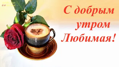 ☀️С ДОБРЫМ УТРОМ!☀️УДАЧНОГО ДНЯ!☀️МУЗЫКАЛЬНАЯ ВИДЕО-ОТКРЫТКА☀️ | Доброе утро,  Открытки, Спокойной ночи