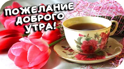 С добрым утром!#видеооткрытка #открыткасдобрымутром#открытка #рекоменд... |  TikTok