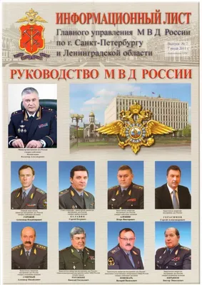 Сувенирный значок МВД России купить недорого