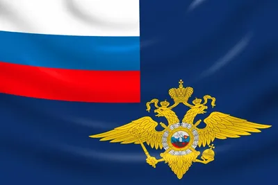 МВД России | Government Official