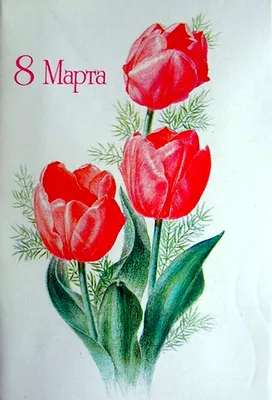 Как нарисовать ТЮЛЬПАНЫ К 8 МАРТА, Рисуем Просто, рисунки для срисовки/683/How  to draw TULIPS | Рисуем Просто | Дзен