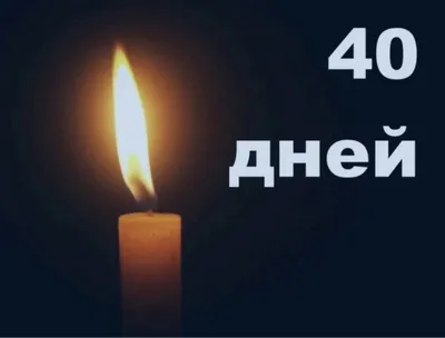 На 9 дней после смерти Жириновского политики пришли на Новодевичье кладбище  - МК