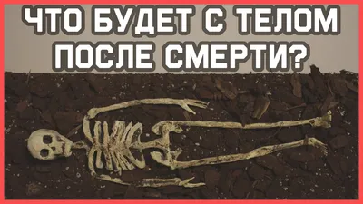 Что подают на 9 дней после смерти для помина?» — Яндекс Кью