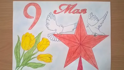 Как нарисовать голубя на День Победы 9 мая поэтапно 3 урока