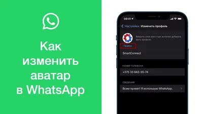 Настройки конфиденциальности WhatsApp | Интернет вопросы