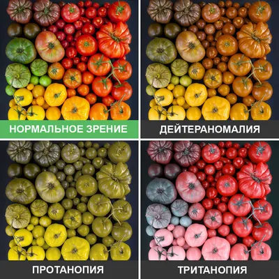 тест на дальтонизм / смешные картинки и другие приколы: комиксы, гиф  анимация, видео, лучший интеллектуальный юмор.