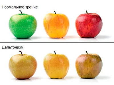 Почему появляется дальтонизм и можно ли его вылечить - Лайфхакер