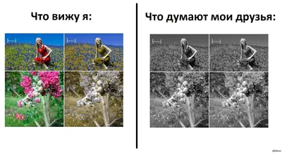 Не дальтоник, говоришь? А если проверить? Тест из 6 картинок | Эксимер,  офтальмологическая клиника | Дзен