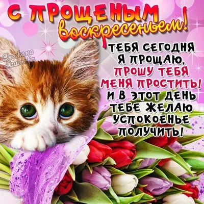 18 февраля – Прощеное воскресенье – Центральная Городская Библиотека г.  Невинномысск