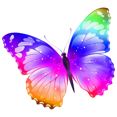 Цветы На Прозрачном Фоне Клипарт - Free Transparent PNG Clipart Images  Download