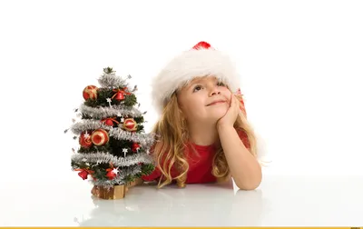 Обои елка, гирлянды, новый год, рождество, праздники картинки на рабочий  стол, фото скачать бесплатно