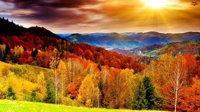 Картинки по запросу фото осень для рабочего стола | Fall wallpaper, Scenery  wallpaper, Beautiful scenery wallpaper
