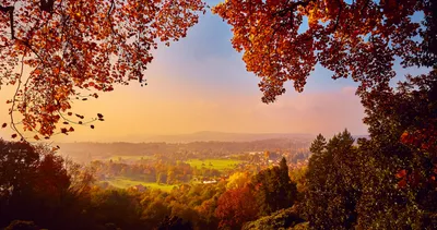 Фон рабочего стола где видно Обои на рабочий стол осень, лес, leaves,  landscape, fall, парк, tree, листья, autumn, colorful, деревья, park, forest