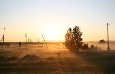 Картинки красивая природы россии с березами (70 фото) » Картинки и статусы  про окружающий мир вокруг