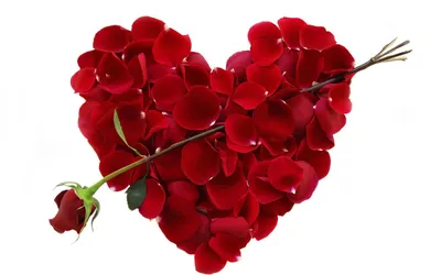 Скачать обои Праздники День святого Валентина, влюбленные сердца на рабочий  стол 1280x1024