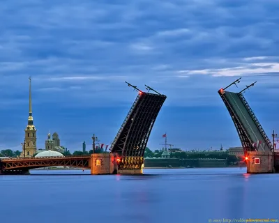 Санкт-Петербург - Дворцовая площадь зимой ночью - Достопримечательности -  Картинки на рабочий стол