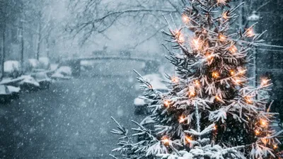 красивые картинки с рождеством на рабочий стол, зима, высокое разрешение,  снег фон картинки и Фото для бесплатной загрузки