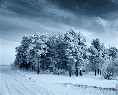 Фон рабочего стола где видно Обои на рабочий стол осень, лес, leaves,  landscape, fall, парк, tree, листья, autumn, colorful, деревья, park, forest