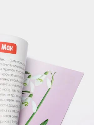 В этом посте ЛЮДИ делятся признаниями о себе на разные темы. Эти признания  были написаны разными людьми и были собраны из опроса в… | Instagram