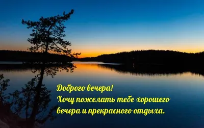 Алексей Неверов принял участие в телевизионной программе «Добрый вечер,  Гомель!» - Ветковское районное объединение профсоюзов