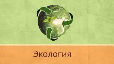 Коллаж на тему «Экология Санкт-Петербурга» в Gimp | Gavrilovatatuana's Blog