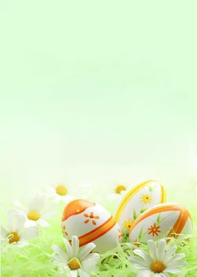 Бесплатные стоковые фото на тему пасха, пасхальное яйцо, пасхальные яйца,  яйца
