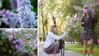 Сочинение на тему: «Весна пришла»