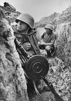 Картинки на тему война 1941 фотографии